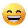 100% Satisfaction Guarantee
